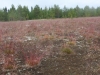 IMG_1085-off-road-team-pajero4x4