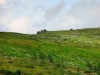 mg_4369